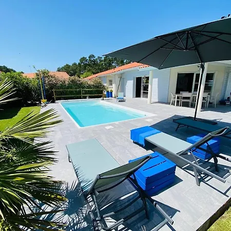 Biscaraibes بيسكاروس