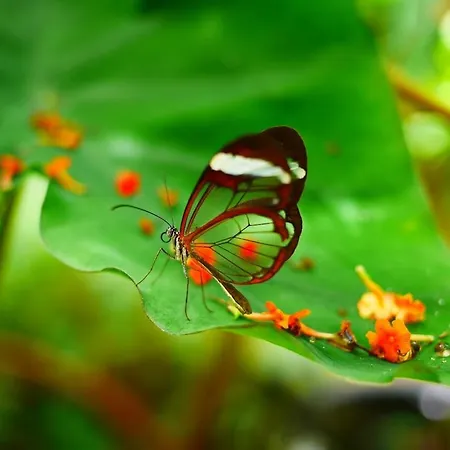 Biscaraibes بيت للعطل بيسكاروس