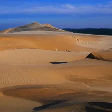 Biscaraibes بيسكاروس