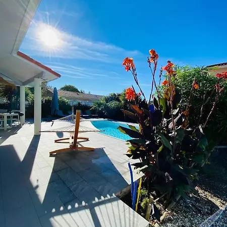 Biscaraibes بيسكاروس