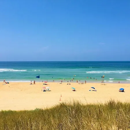 Biscaraibes * بيسكاروس