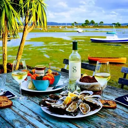 Biscaraibes بيسكاروس