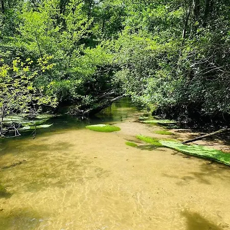 Prázdninový dům Biscaraibes Biscarrosse