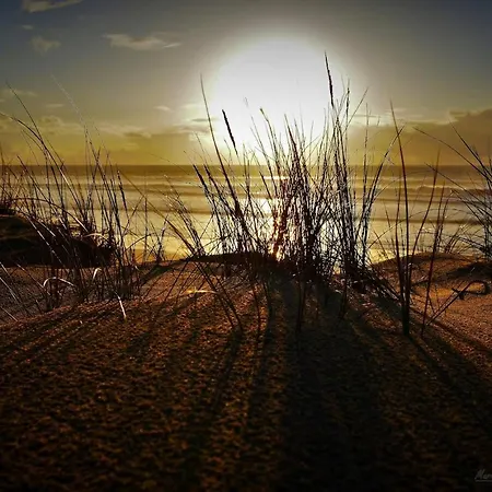 Biscaraibes Prázdninový dům Biscarrosse