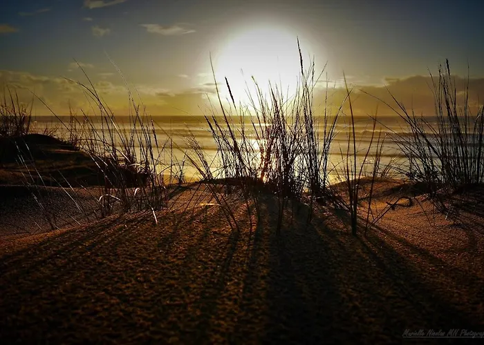 Biscaraibes Ferienhaus Biscarrosse