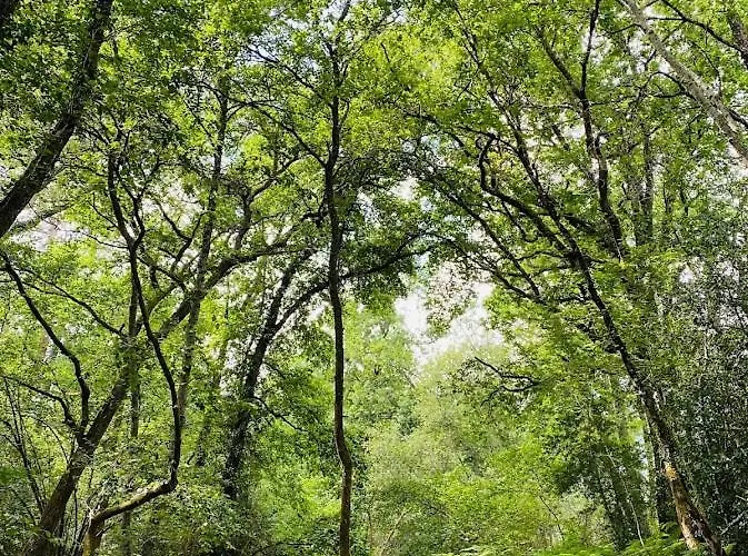 Ferienhaus Biscaraibes Biscarrosse